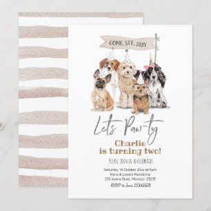 Dog Let's Pawty Birthday Invitation Kaart