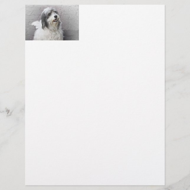 Dog Letterhead (Voorkant)