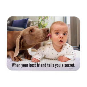Dog Licking Baby's Ear Magneet