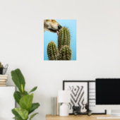 Dog licking cactus, close-up poster (Thuiskantoor)