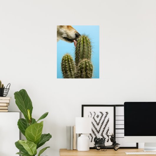 Dog licking cactus, close-up poster (Thuiskantoor)