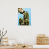 Dog licking cactus, close-up poster (Keuken)