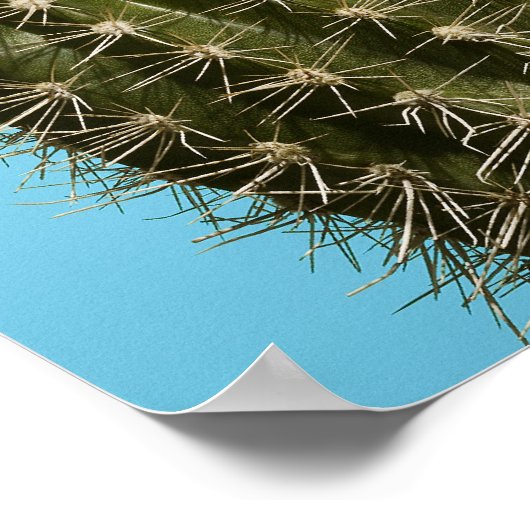 Dog licking cactus, close-up poster (Hoek)