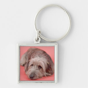 Dog liggen sleutelhanger