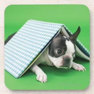 Dog ligt onder het boek onderzetter