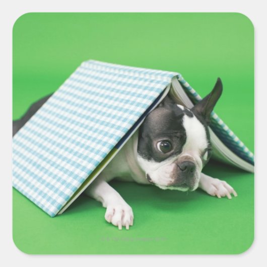 Dog ligt onder het boek vierkante sticker (Voorkant)