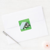 Dog ligt onder het boek vierkante sticker (Envelop)