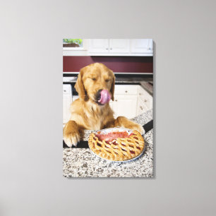 Dog likkende neus na het eten van kersensaart in canvas afdruk