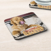 Dog likkende neus na het eten van kersensaart in onderzetter (Linkerzijde)