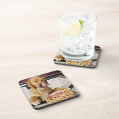 Dog likkende neus na het eten van kersensaart in onderzetter (Rechterzijde)