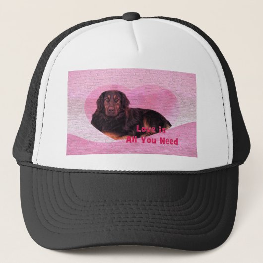 Dog Love is alles wat je nodig hebt Trucker Pet (Voorkant)