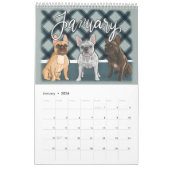 Dog Lovers Calendar 2026 | Hand Drawn Ilustrations Kalender (Jan 2026)