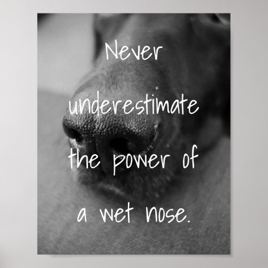 dog lovers quote the power of a wet nose poster (Voorkant)