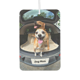 Dog Ma Fish-eye Lens Cute Funny Luchtverfrisser