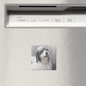 Dog Magneet (Insitu (Vaatwasser))