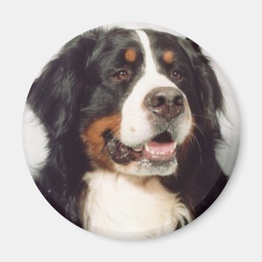 Dog Magneet (Voorkant)