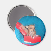 Dog magnet (Voorkant / Achterkant)