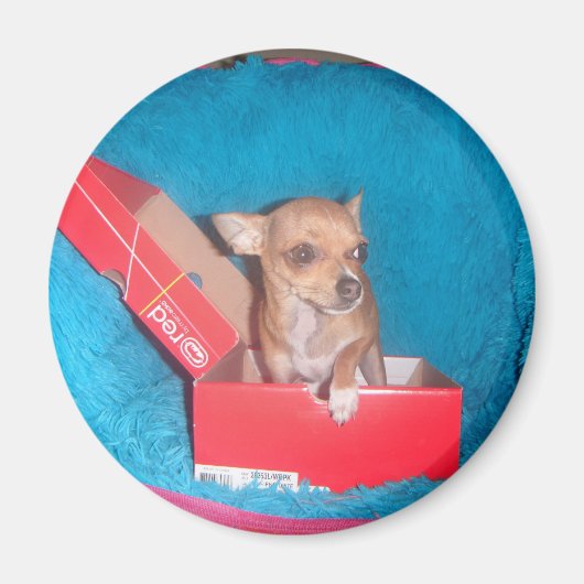 Dog magnet (Voorkant)
