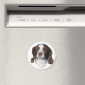 Dog magnet (Insitu (Vaatwasser))