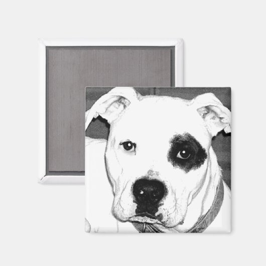 Dog Magnet (Voorkant / Achterkant)