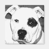 Dog Magnet (Voorkant)