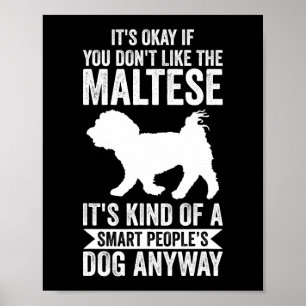 Dog Maltese gewoon een jongen die houdt van Maltes Poster