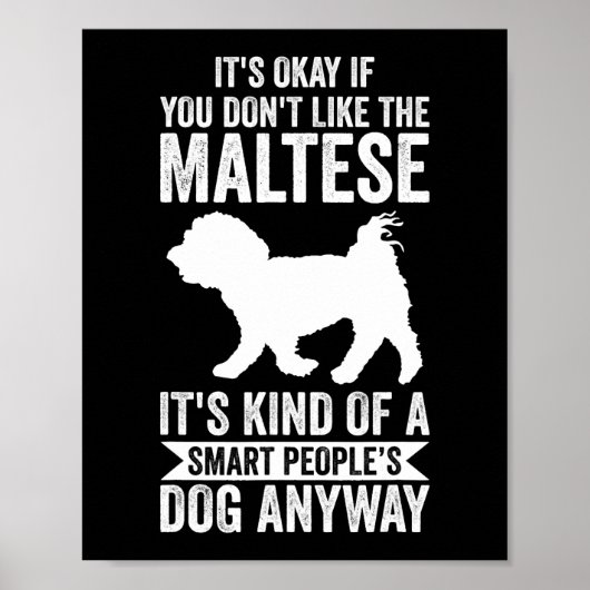 Dog Maltese gewoon een jongen die houdt van Maltes Poster (Voorkant)