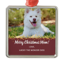 Dog Mam Dog Pap Pet Kerstfeestdag Foto