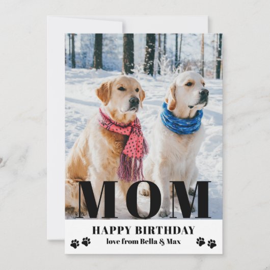 Dog mam Happy Birthday Modern Persoonlijke foto (Voorkant)