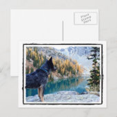 Dog Max op de kannen voor het behoud van het werk Briefkaart (Voorkant / Achterkant)