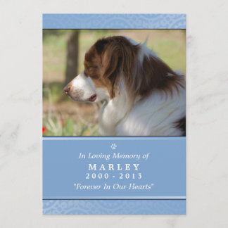 Dog Memorial 5x7 Light Blue Don't Grieve Poem Programmakaart