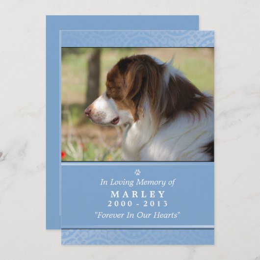 Dog Memorial 5x7 Light Blue Don't Grieve Poem Programmakaart (Voorkant / Achterkant)