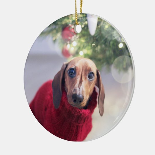 Dog Memorial Ceramic Ornament (Links)