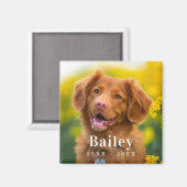 Dog Memorial Custom Pet Photo Fridge Magneet (Voorkant / Achterkant)