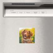 Dog Memorial Custom Pet Photo Fridge Magneet (Insitu (Vaatwasser))