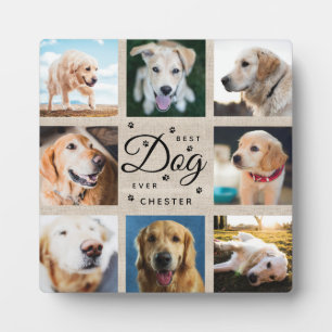 Dog Memorial Gift Best Dog Ever Rustige Foto Fotoplaat