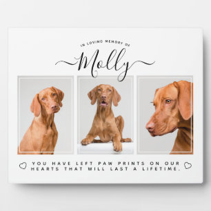 Dog Memorial Gift - Pet Loss 3 Fotocollage Wit Fotoplaat