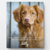 Dog Memorial Gift- Pet Loss Keepomwille- Dog Sympa Fotoplaat (Voorkant)