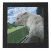 Dog Memorial Keepomwille Foto Kubus (Rechts)