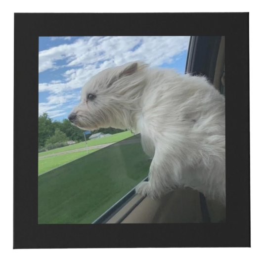 Dog Memorial Keepomwille Foto Kubus (Rechts)