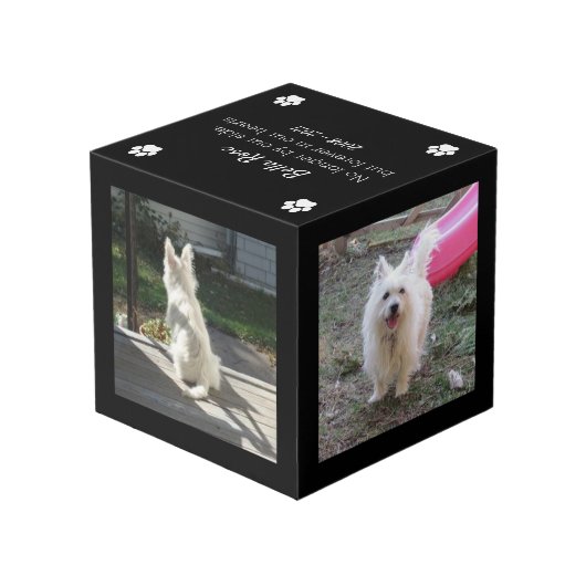 Dog Memorial Keepomwille Foto Kubus (Achter hoekig)