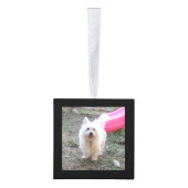 Dog Memorial Keepomwille Photo Cube Decoratie (Rechts)