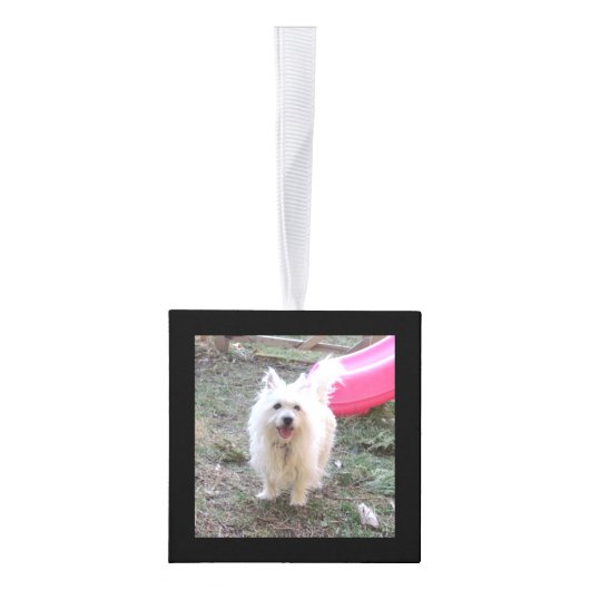 Dog Memorial Keepomwille Photo Cube Decoratie (Rechts)