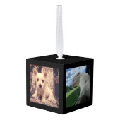Dog Memorial Keepomwille Photo Cube Decoratie (Achter hoekig)