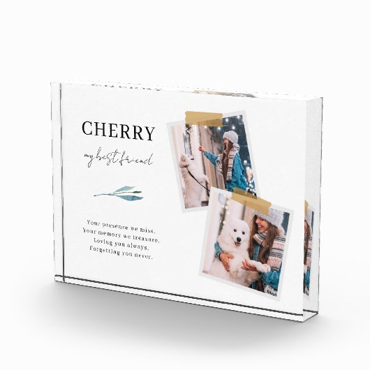 Dog Memorial Pet Loss 2 Photo Block Fotoblokken (Rechts)