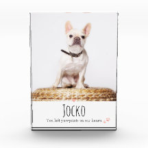 Dog Memorial Pet Loss Keepomwille Foto Aangepast