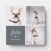 Dog Memorial Pet Loss Keepomwille Photo Collage Fotoplaat (Voorkant)