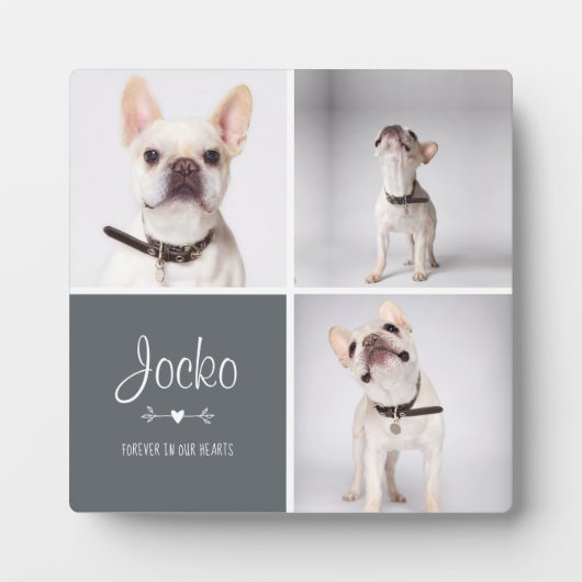 Dog Memorial Pet Loss Keepomwille Photo Collage Fotoplaat (Voorkant)