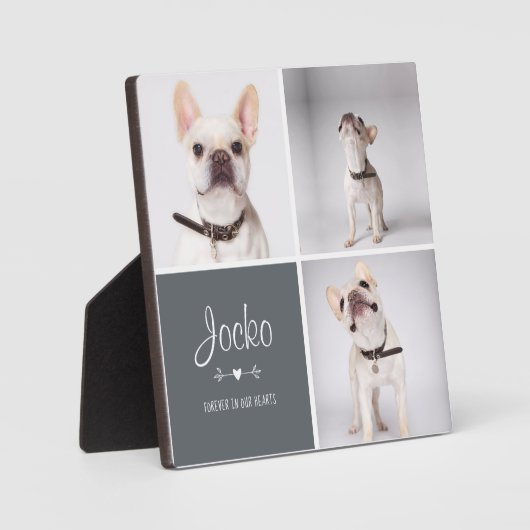 Dog Memorial Pet Loss Keepomwille Photo Collage Fotoplaat (Voorkant)