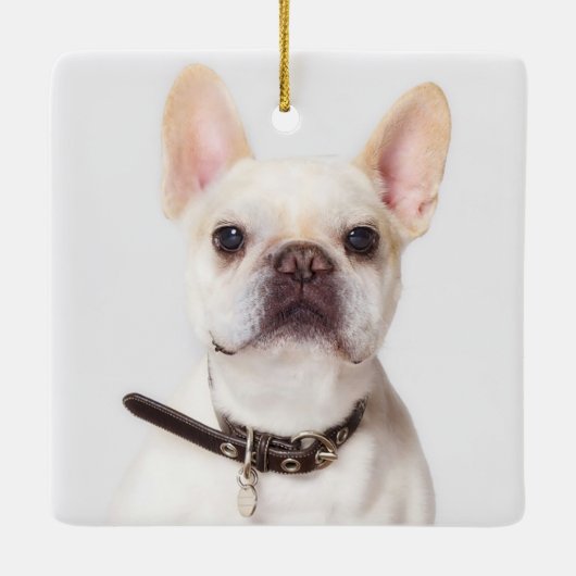 Dog Memorial Pet Loss Keepomwille Photo Collage Keramisch Ornament (Achterkant)